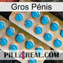 Gros Pénis new08
